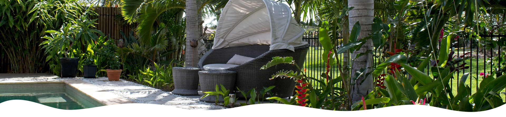 Tropical plants lining a pool fence